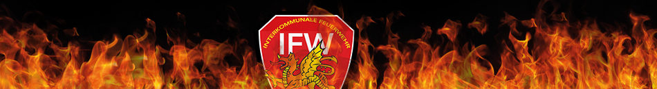 Feuer Demo